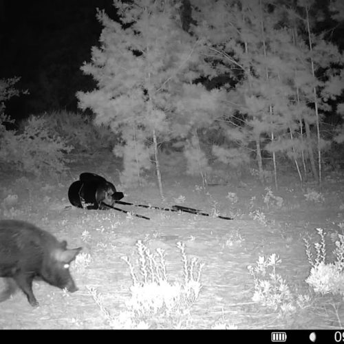 016579003934325-79-3-09292025210834-SYFW01447