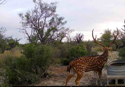 860322065582436-100-4-09102025075638-V-W1059385