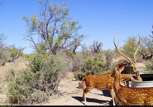 860322065582436-100-4-10202025003800-HD-SYFW4742