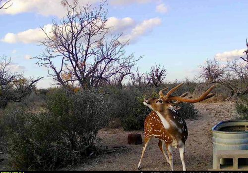 860322065582436-100-4-12232025170012-V-W1071985